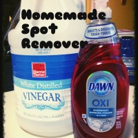 Green Cleaning: Homemade Stain Remover!