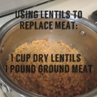 Using Lentils As A Meat Substitute & Burrito Filling Recipe!